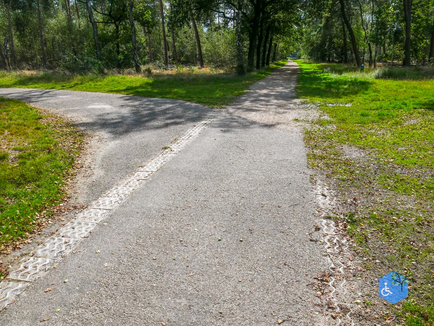 Someren_Allemanspad_Natuurpoort_Vennenhorst_31-08-2023-08