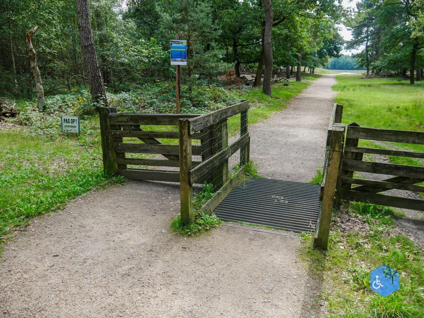 Someren_Allemanspad_Natuurpoort_Vennenhorst_31-08-2023-09