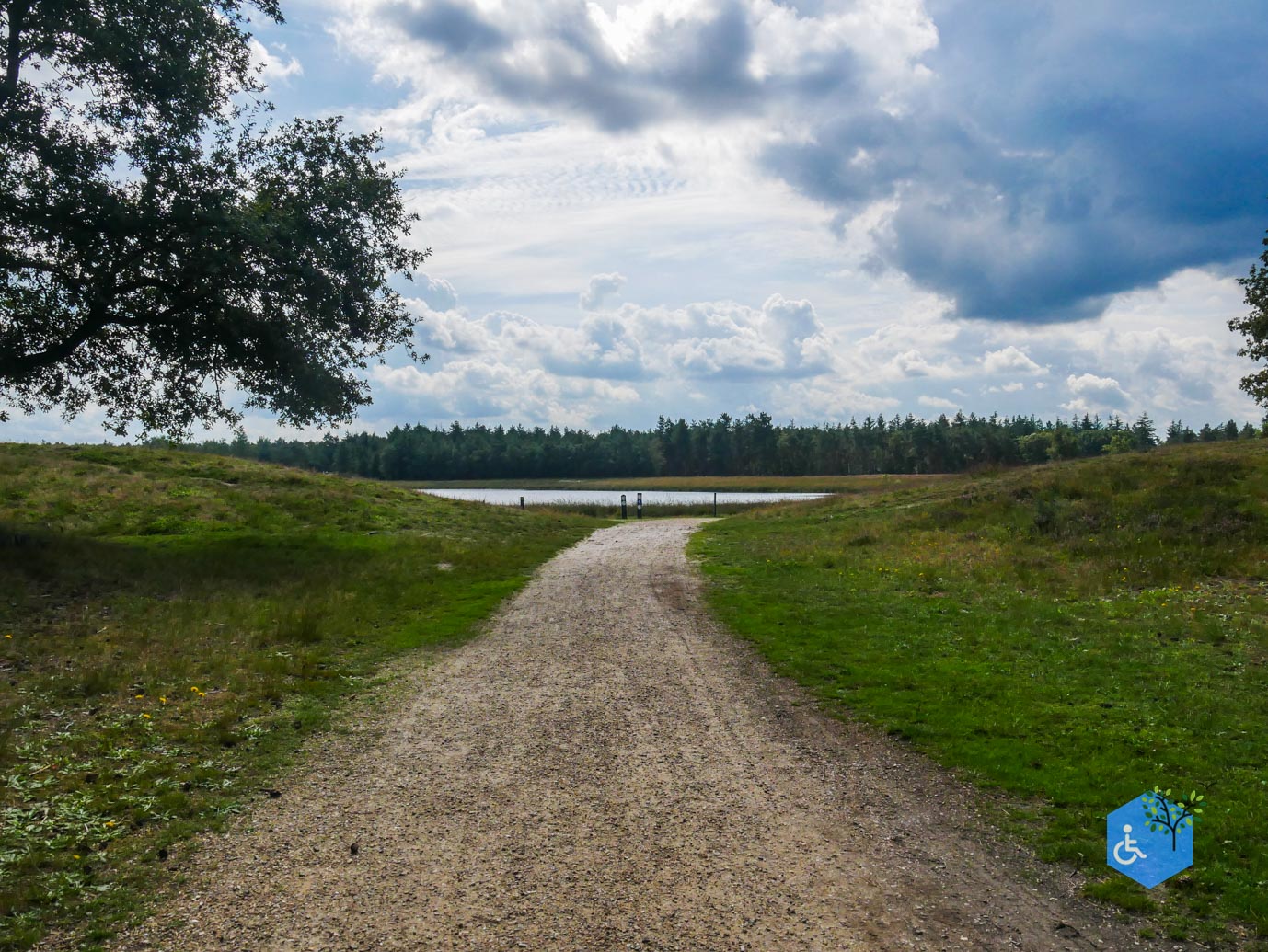 Someren_Allemanspad_Natuurpoort_Vennenhorst_31-08-2023-12