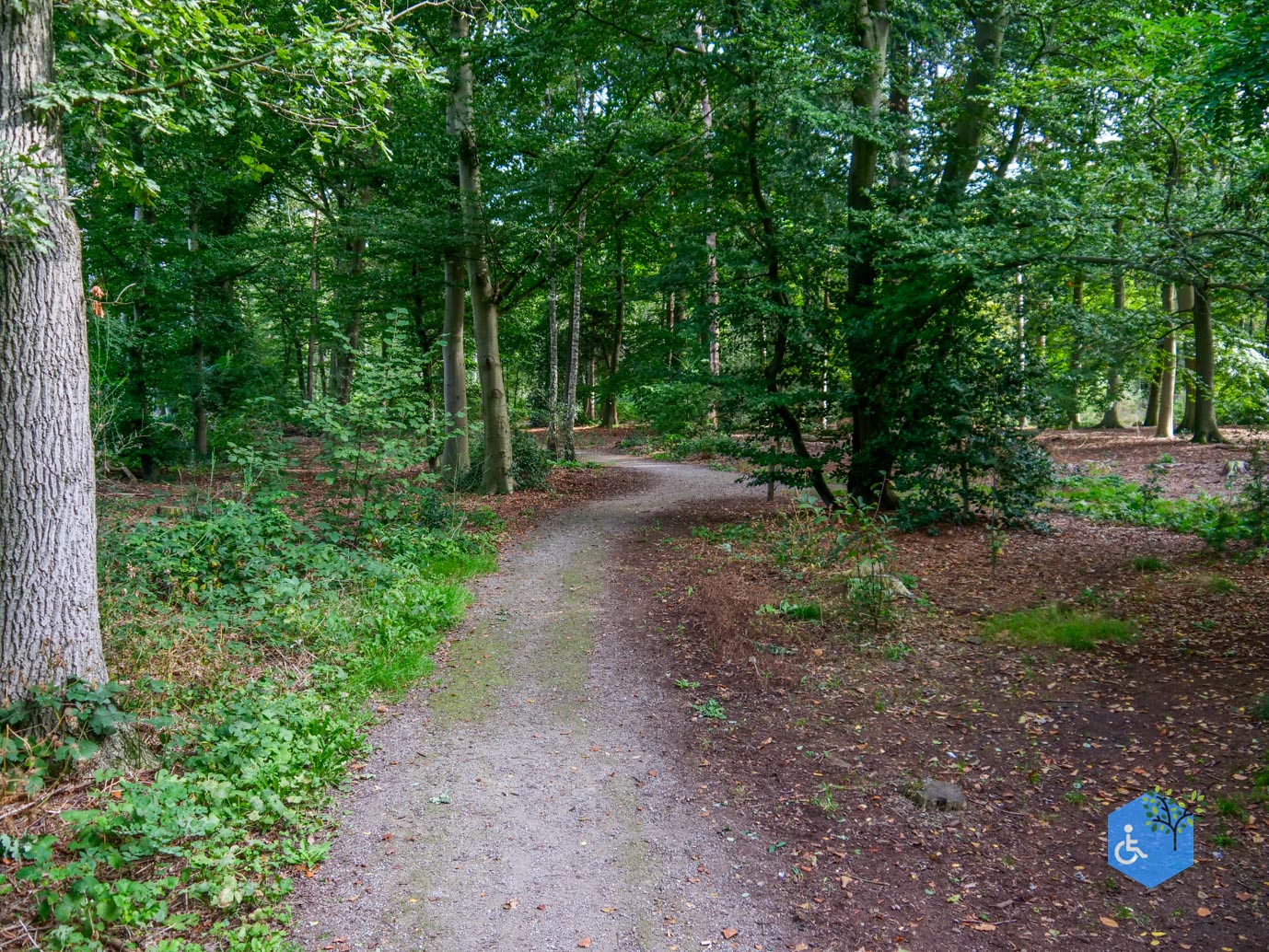 Haaksbergen_Grintenbosch_06-10-2023-05
