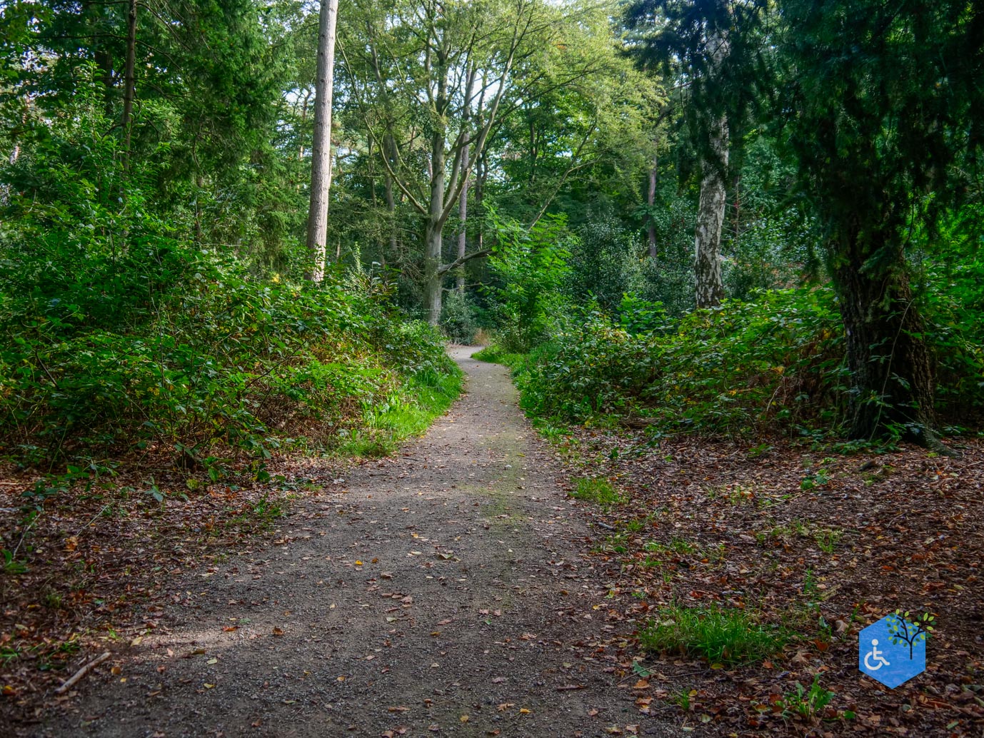 Haaksbergen_Grintenbosch_06-10-2023-06