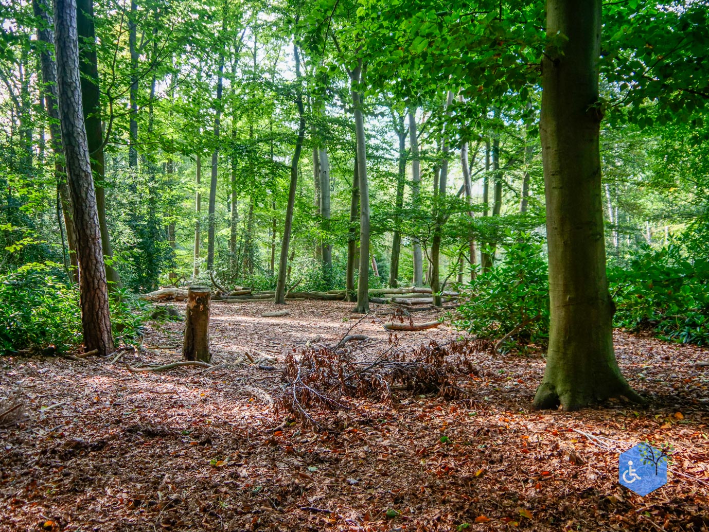 Haaksbergen_Grintenbosch_06-10-2023-08