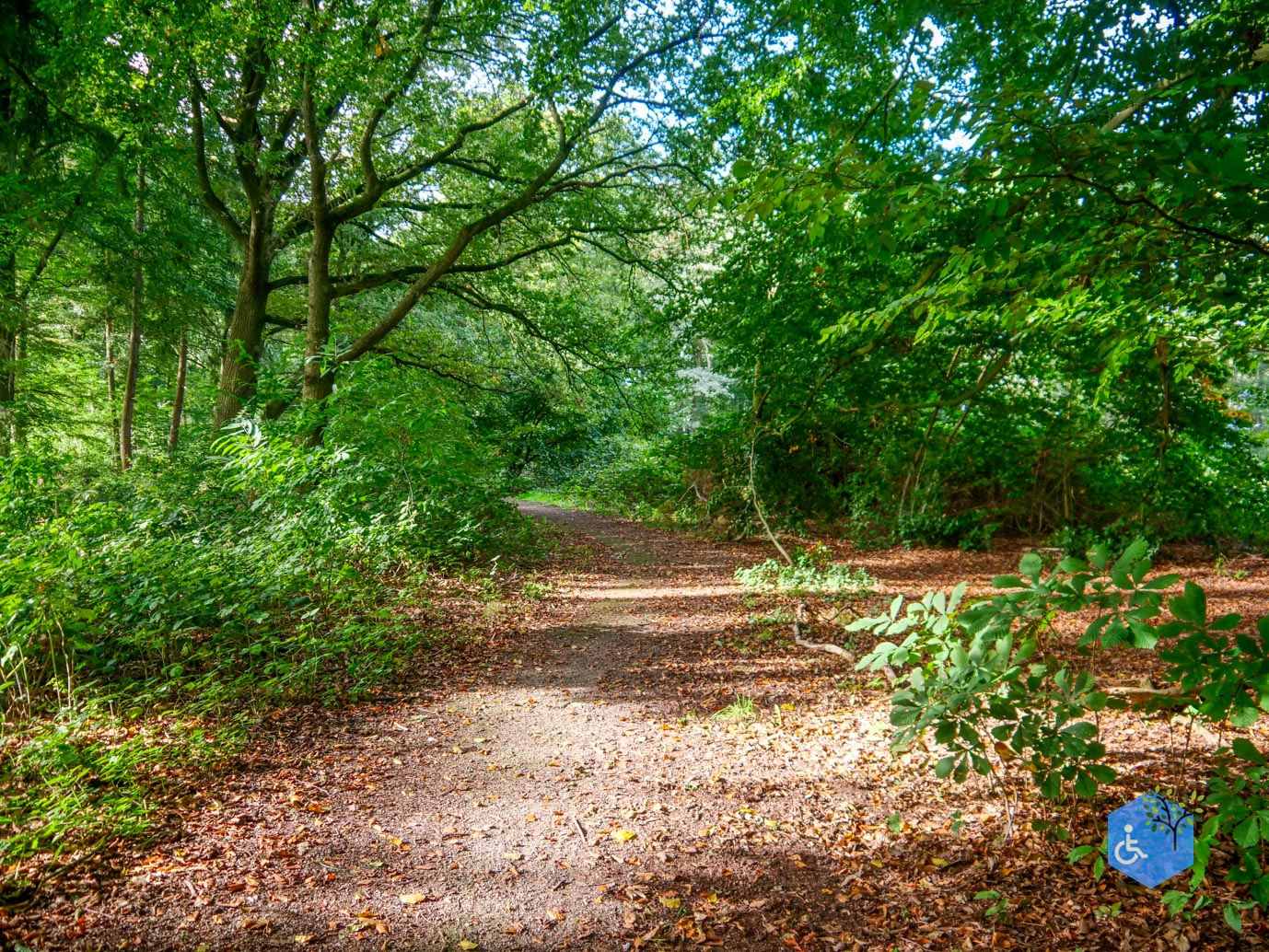 Haaksbergen_Grintenbosch_06-10-2023-10