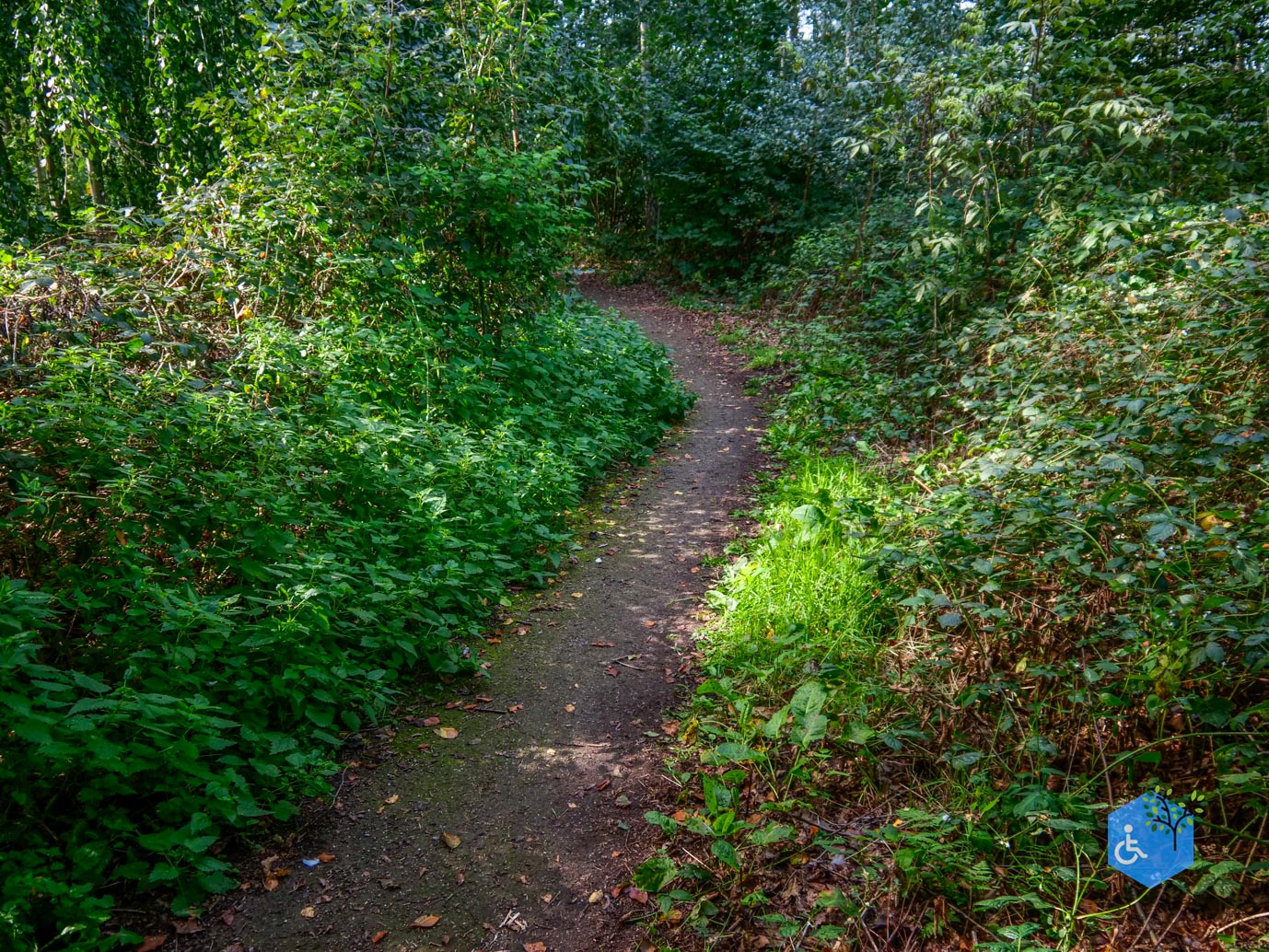 Haaksbergen_Grintenbosch_06-10-2023-11