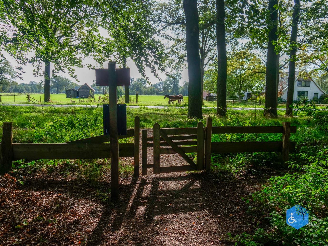 Haaksbergen_Grintenbosch_06-10-2023-12
