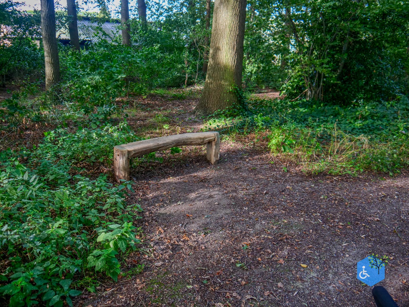 Haaksbergen_Grintenbosch_06-10-2023-13