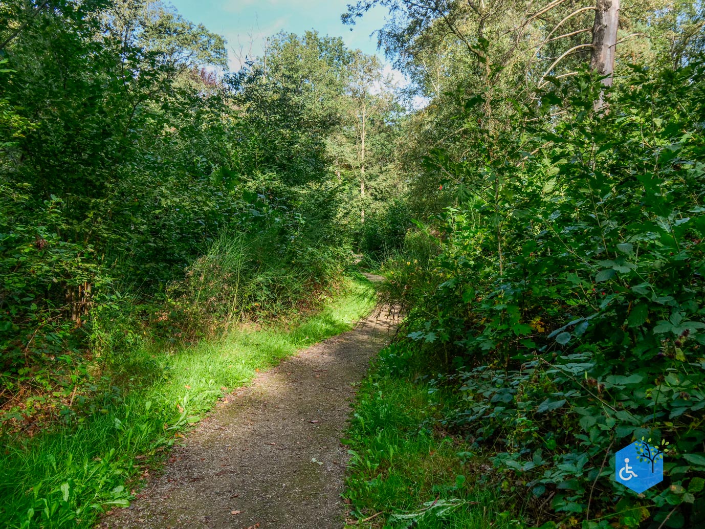 Haaksbergen_Grintenbosch_06-10-2023-14