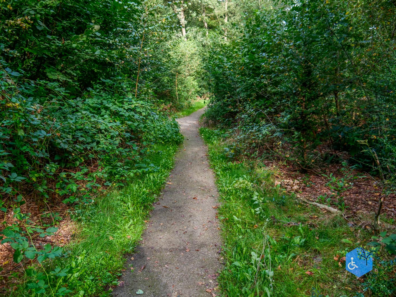Haaksbergen_Grintenbosch_06-10-2023-15