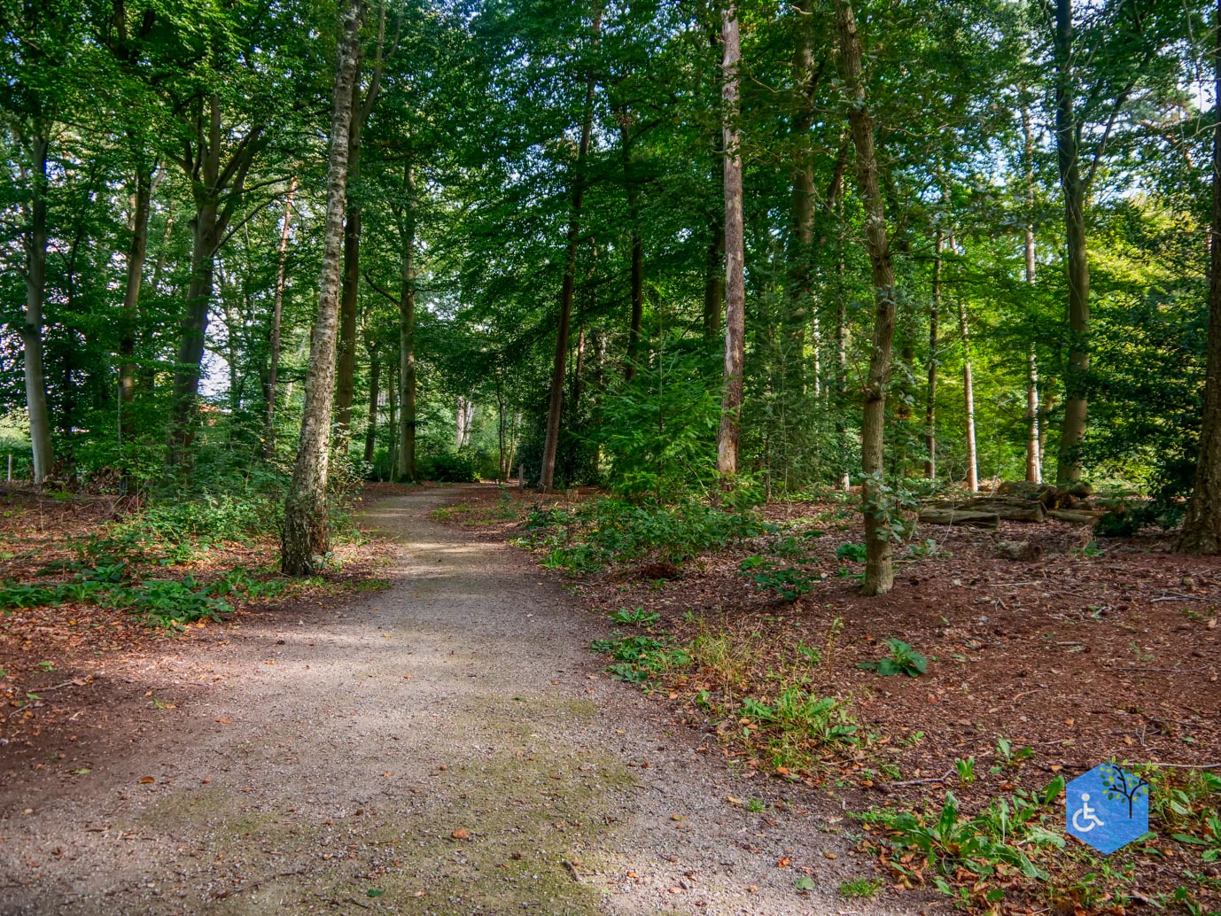 Haaksbergen_Grintenbosch_06-10-2023-16