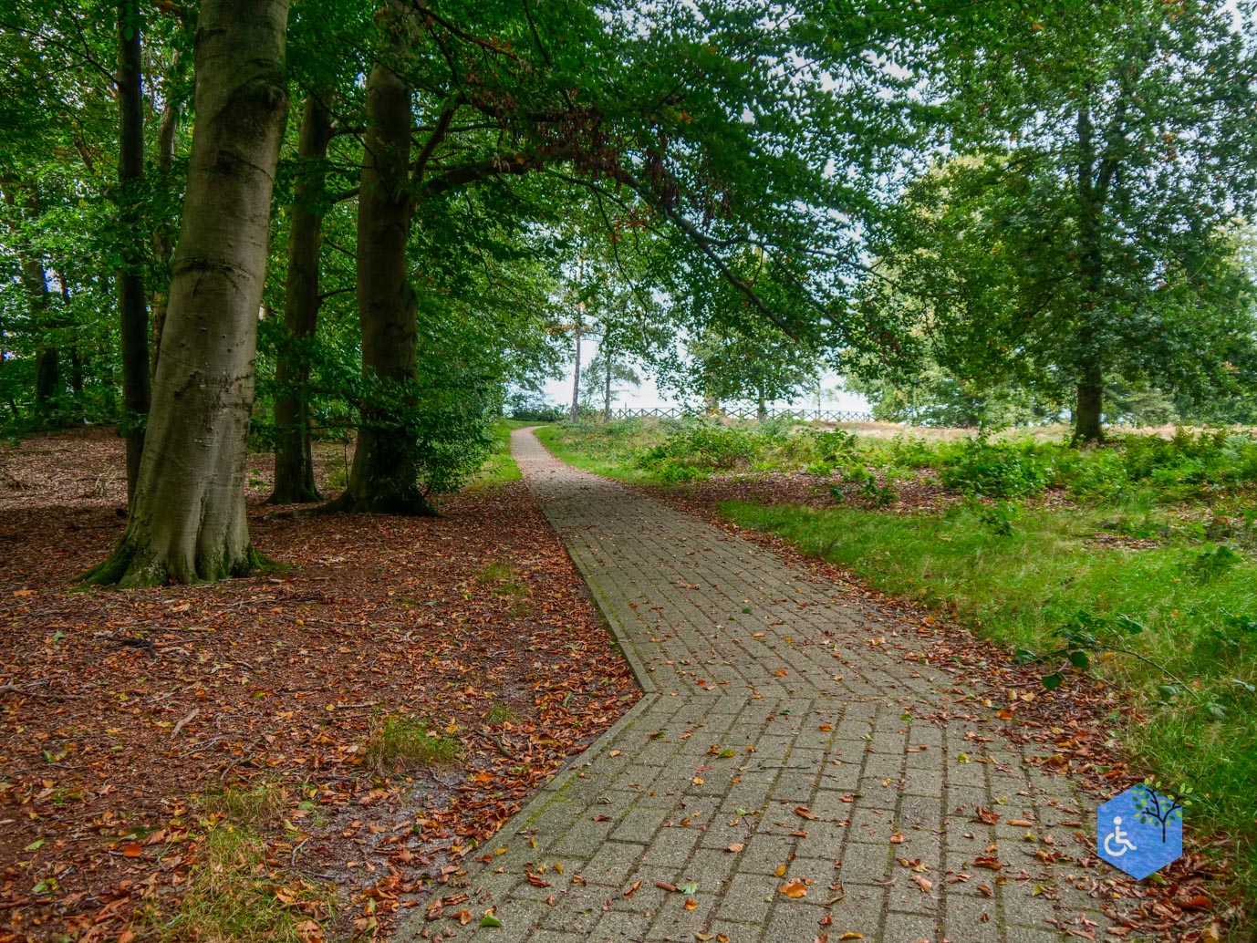 Lemele_Getipt_Rolstoelpad_Lemelerberg-05