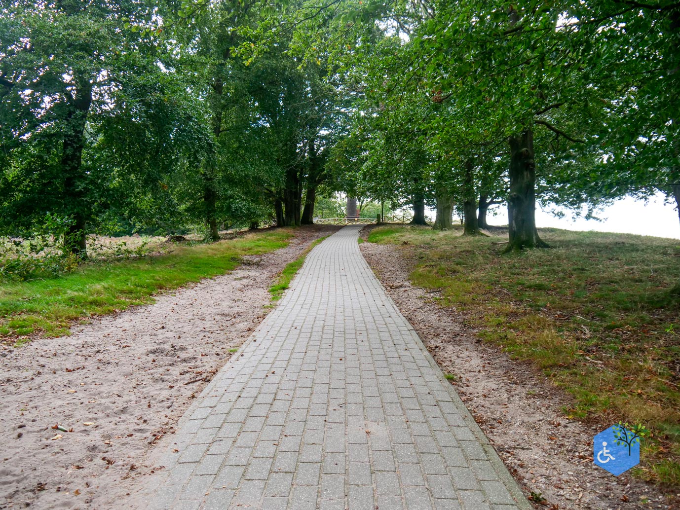 Lemele_Getipt_Rolstoelpad_Lemelerberg-11