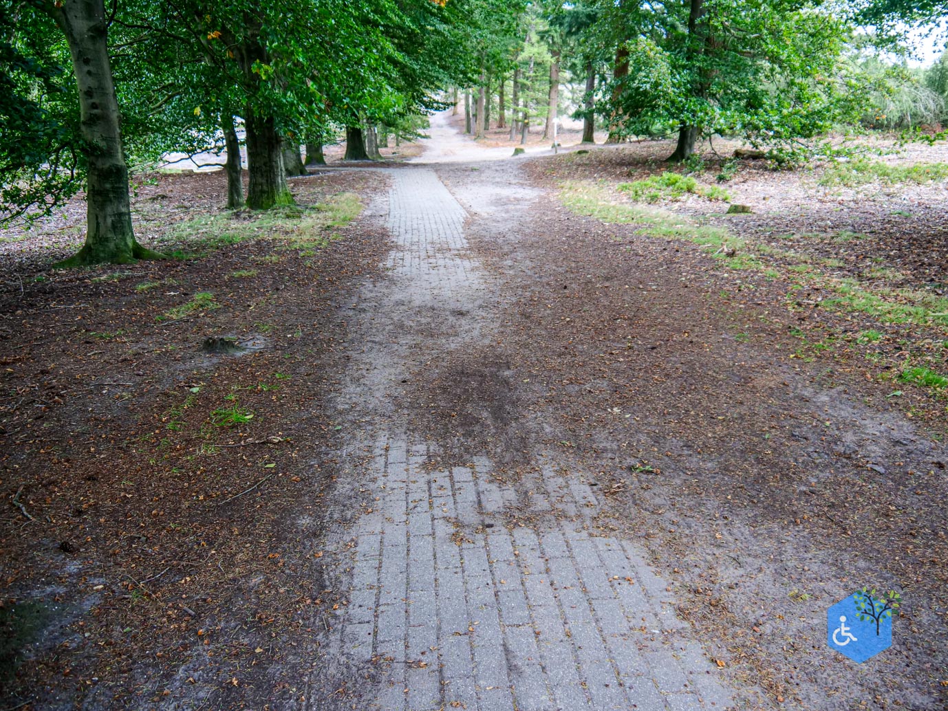 Lemele_Getipt_Rolstoelpad_Lemelerberg-12