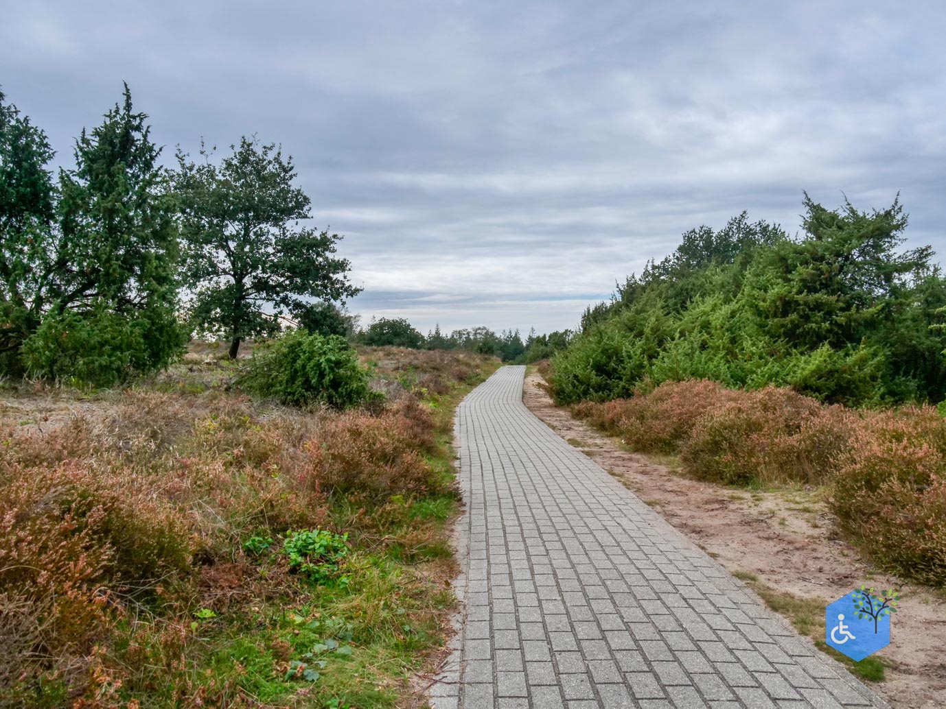 Lemele_Getipt_Rolstoelpad_Lemelerberg-14