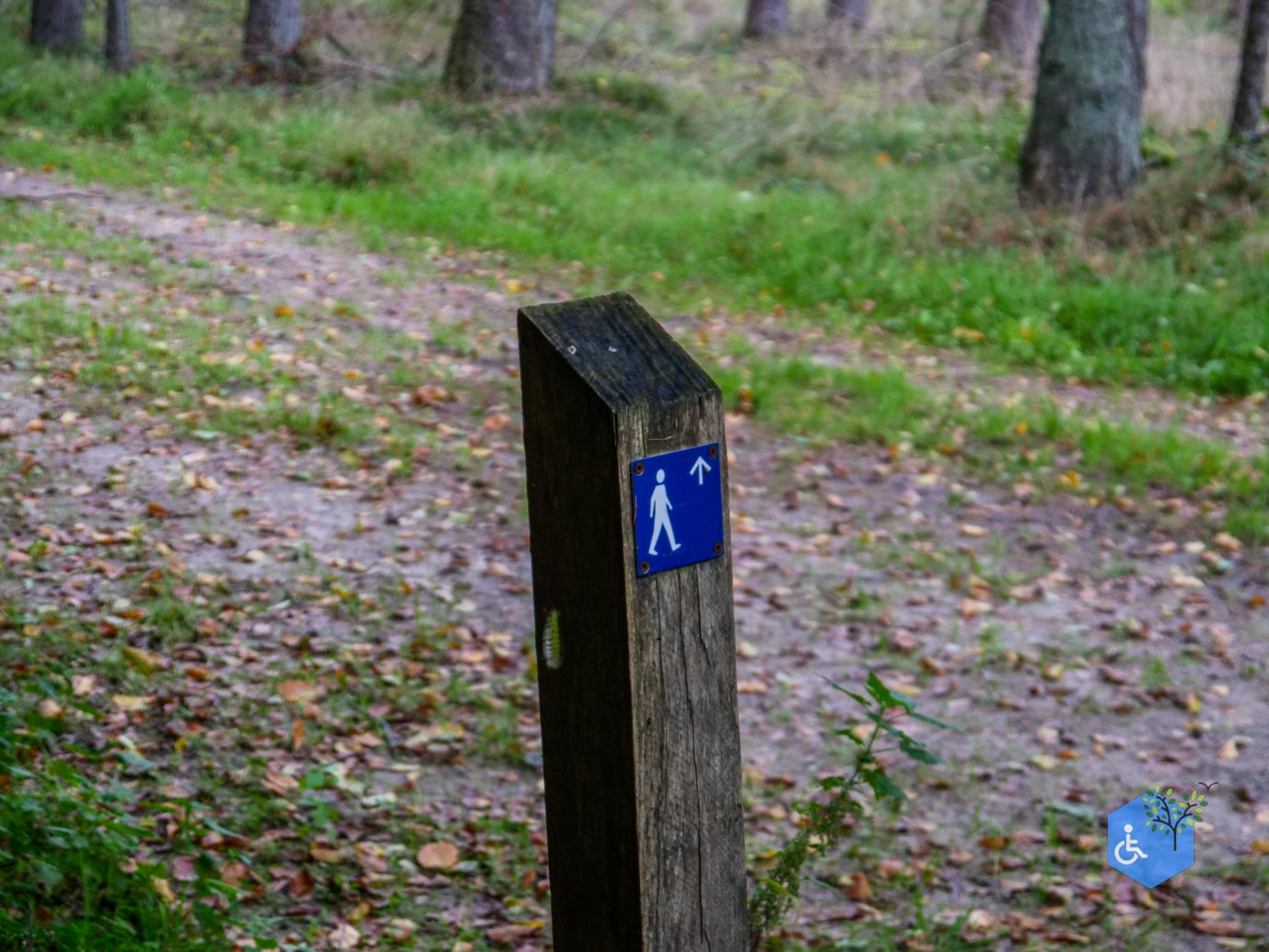 Spier _Familiepad_Dwingelderveld_06-10-2023-04