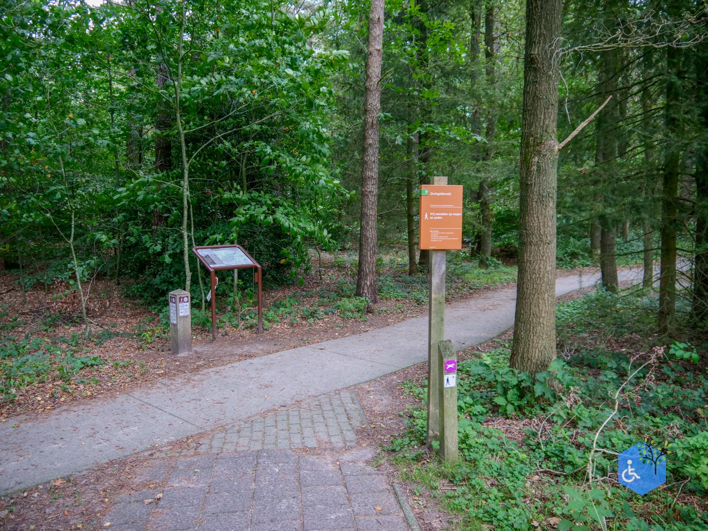 Spier _Familiepad_Dwingelderveld_06-10-2023-05