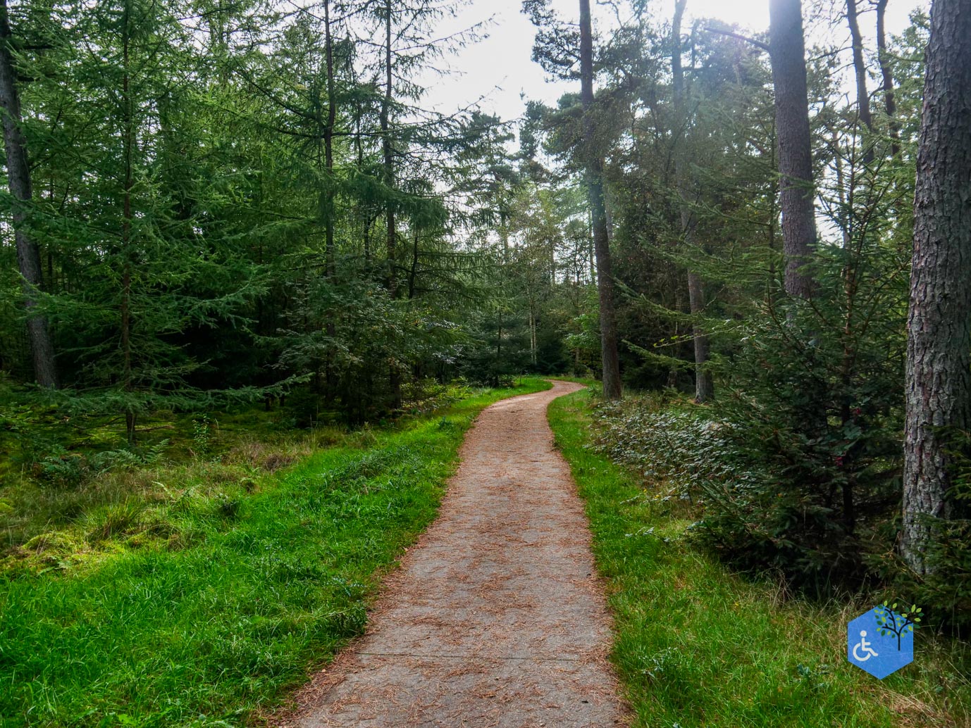 Spier _Familiepad_Dwingelderveld_06-10-2023-10