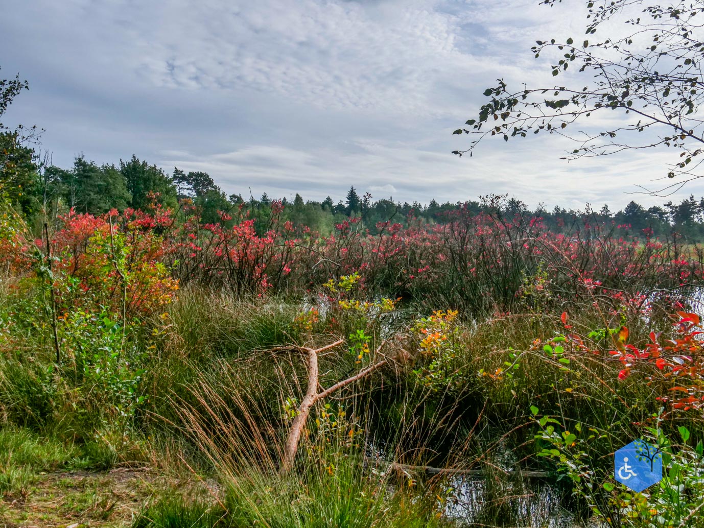 Spier _Familiepad_Dwingelderveld_06-10-2023-16