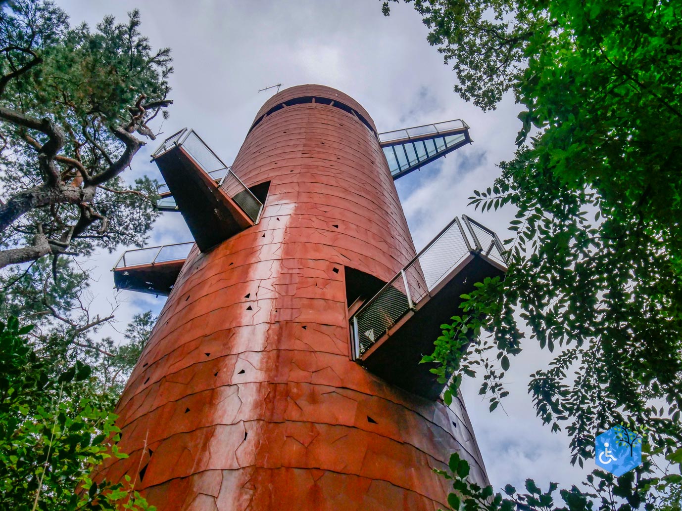 Appelscha_Bosbergpad_18-09-2023-11