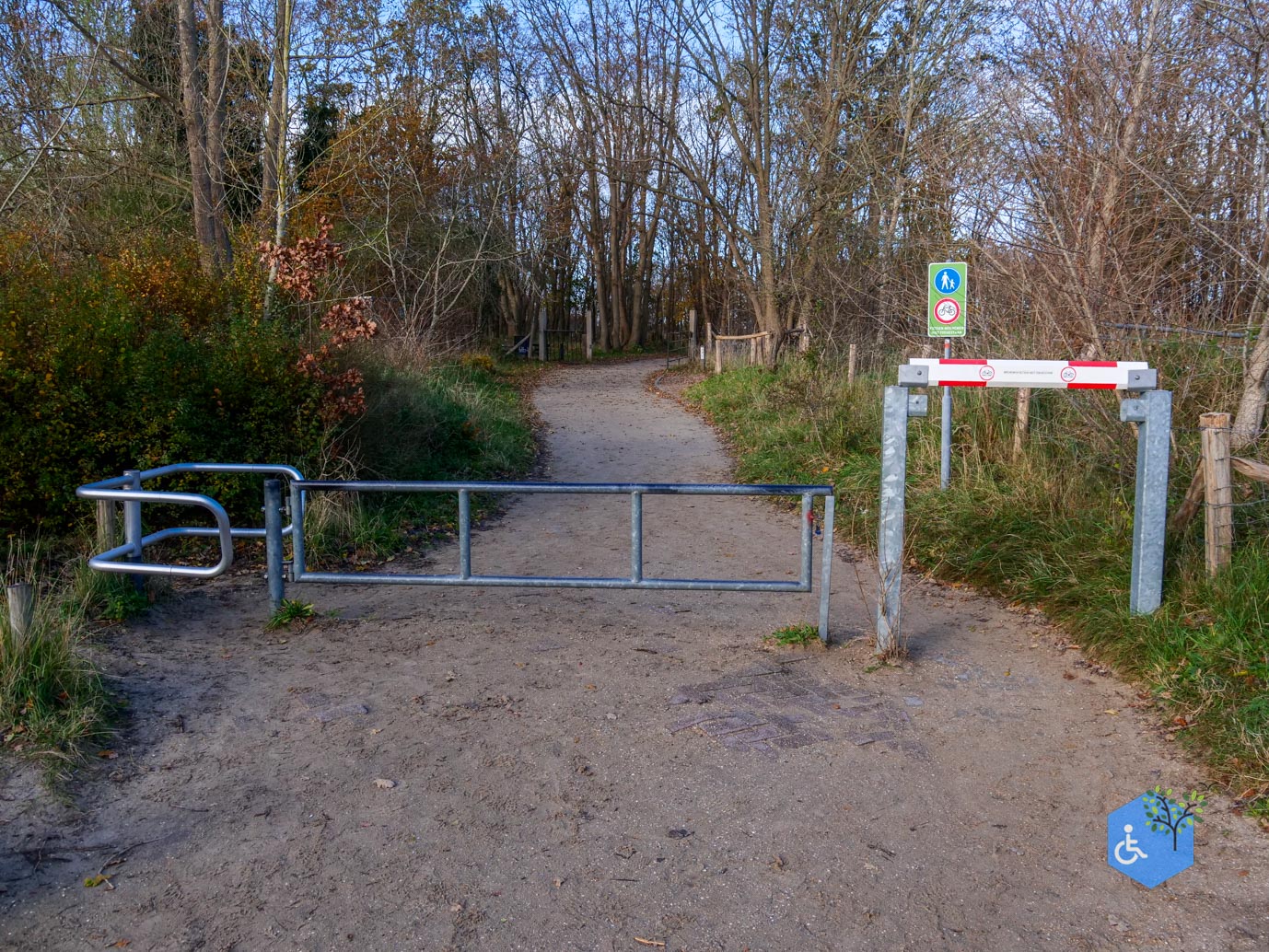 Overveen_Rolstoelwandeling_De_Kennemerduinen_24-11-2023-06