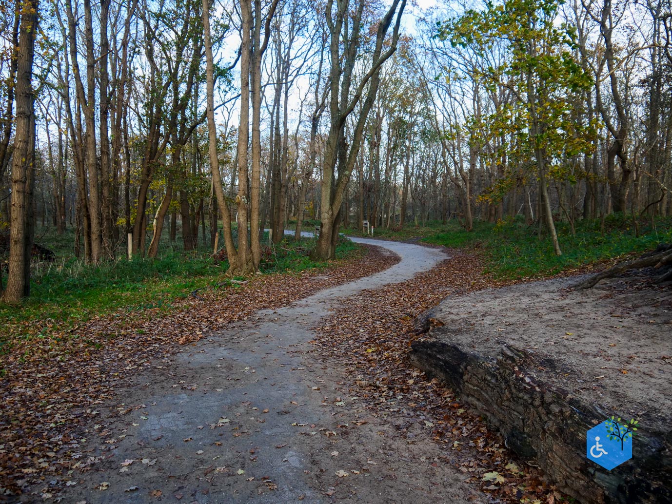 Overveen_Rolstoelwandeling_De_Kennemerduinen_24-11-2023-07