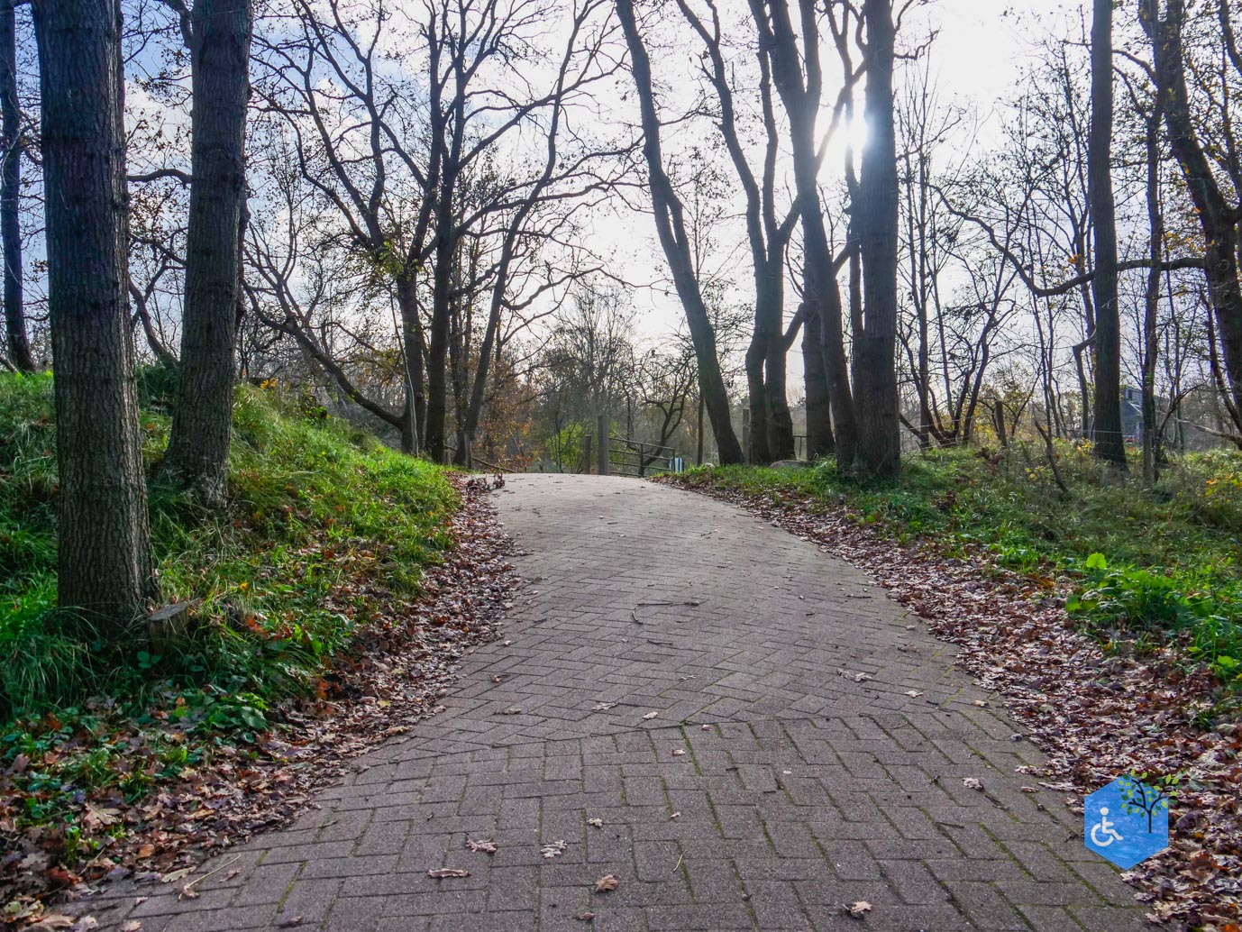 Overveen_Rolstoelwandeling_De_Kennemerduinen_24-11-2023-16