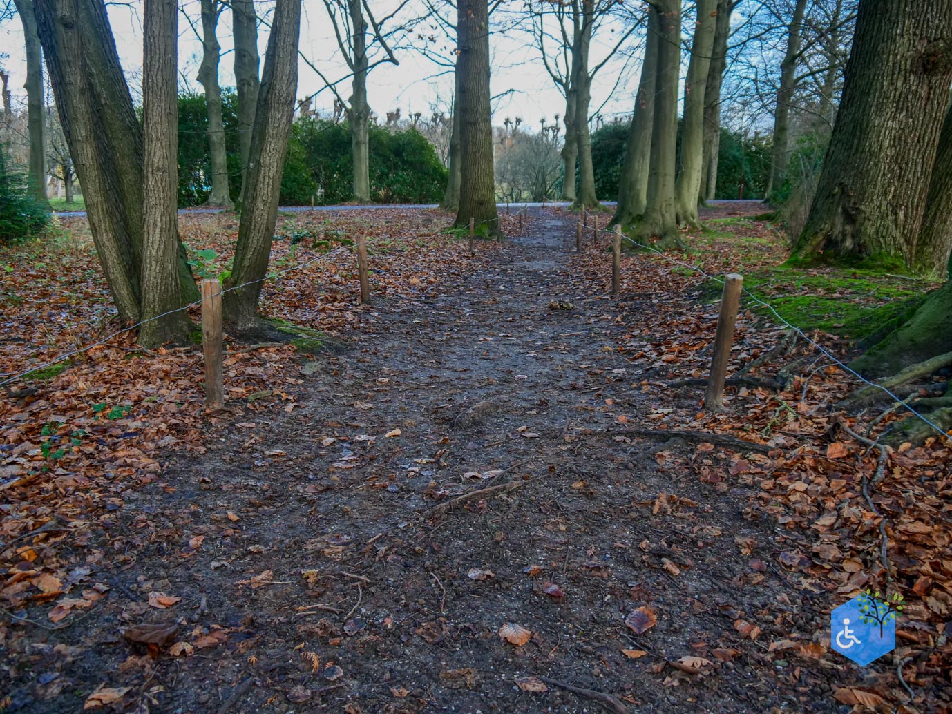 Overveen_Buitenplaats_Elswout_24-11-2023-40