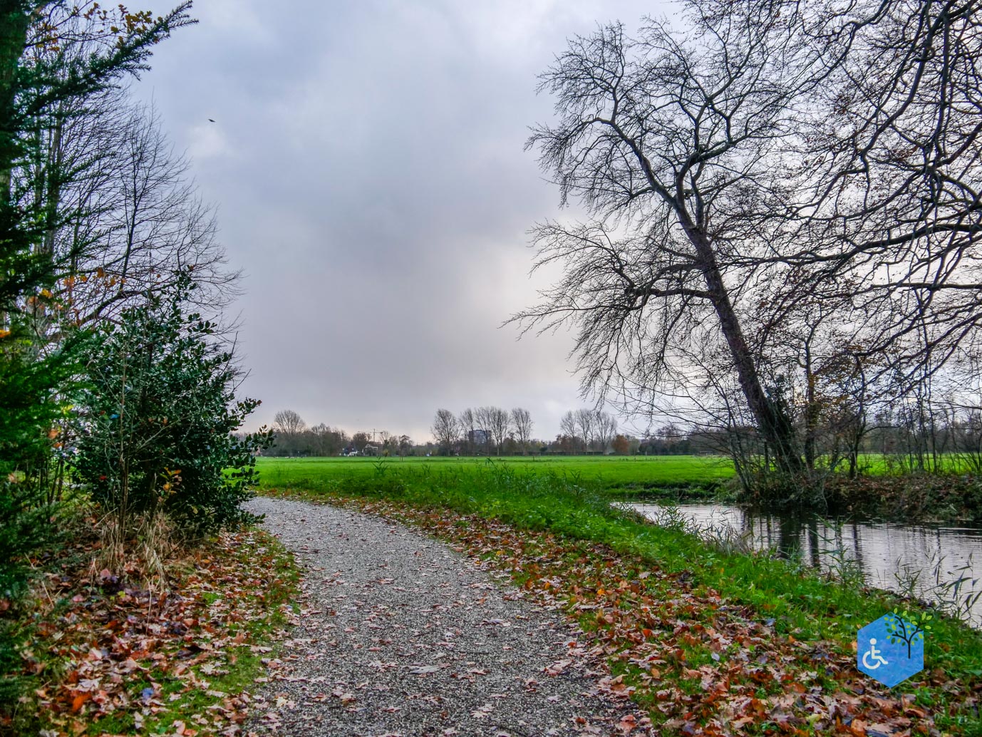 Voorschoten_Landgoed_Duivenvoorde_24-11-2023-35