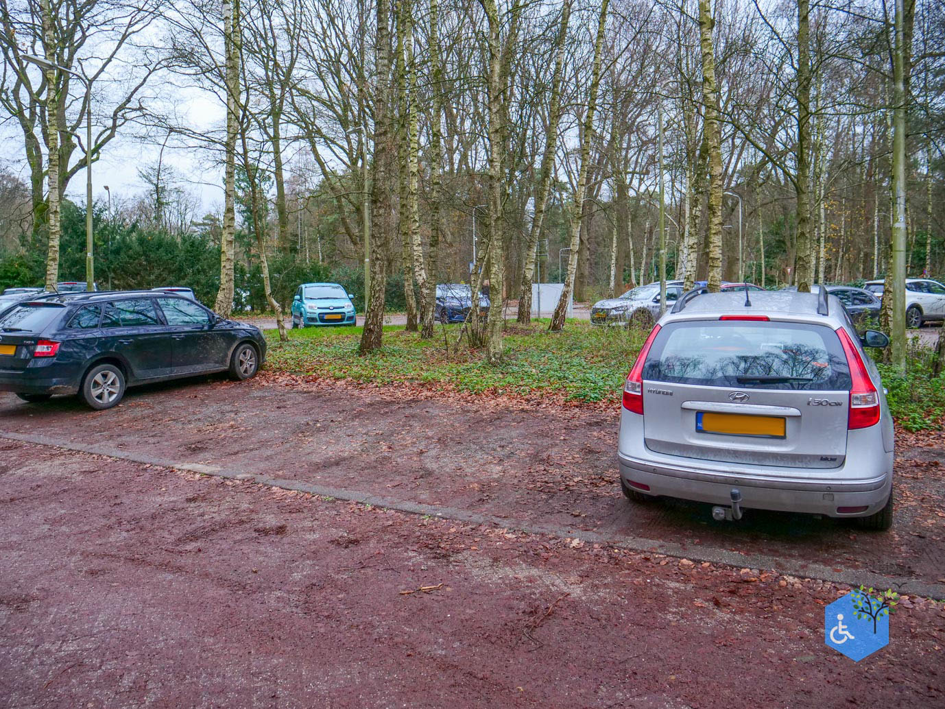 Tilburg_Rolstoelroute_Stadsbos_013_15-12-2023-01