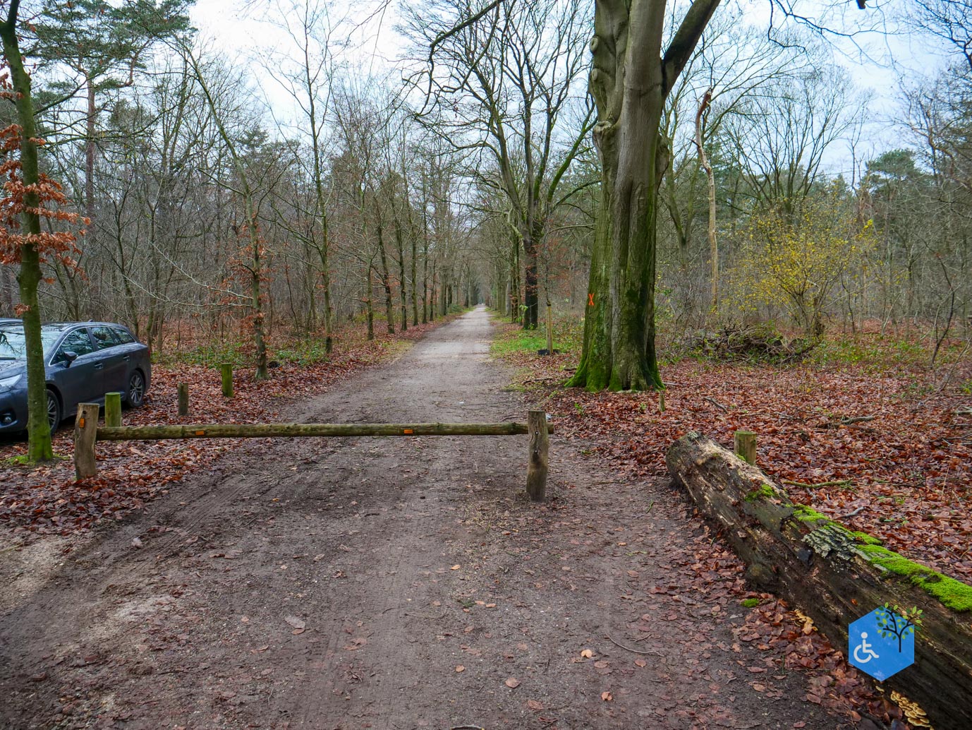 Tilburg_Rolstoelroute_Stadsbos_013_15-12-2023-04