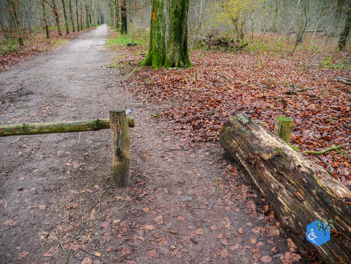 Tilburg_Rolstoelroute_Stadsbos_013_15-12-2023-05