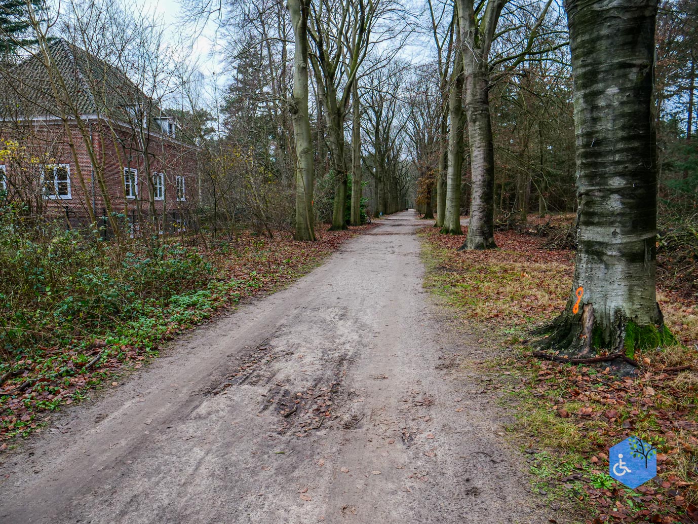 Tilburg_Rolstoelroute_Stadsbos_013_15-12-2023-06