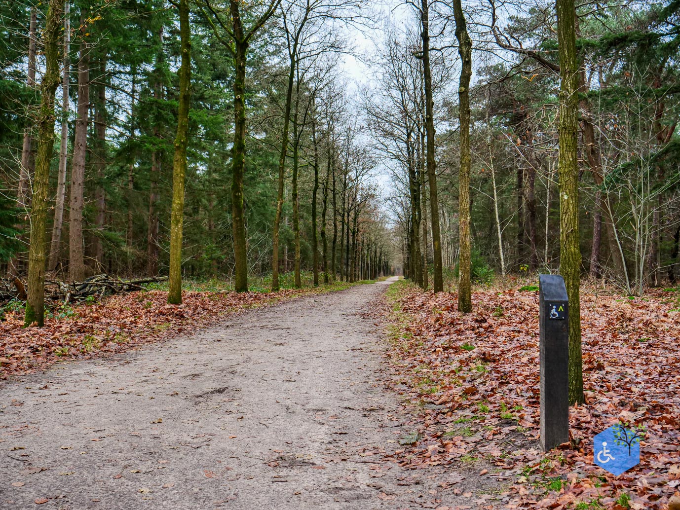 Tilburg_Rolstoelroute_Stadsbos_013_15-12-2023-07