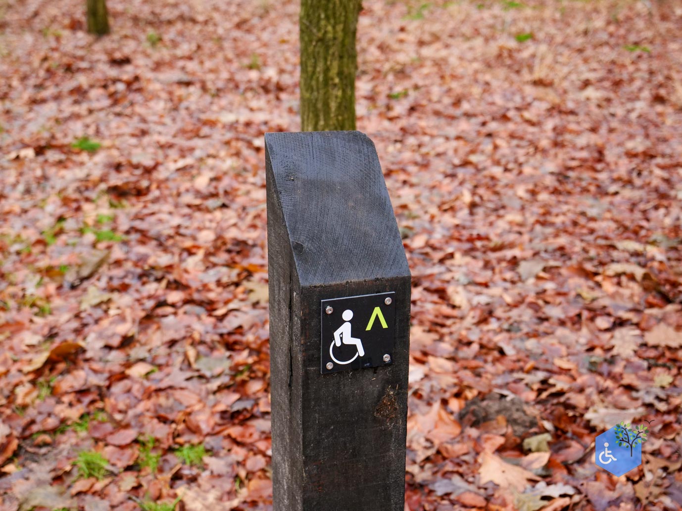 Tilburg_Rolstoelroute_Stadsbos_013_15-12-2023-08