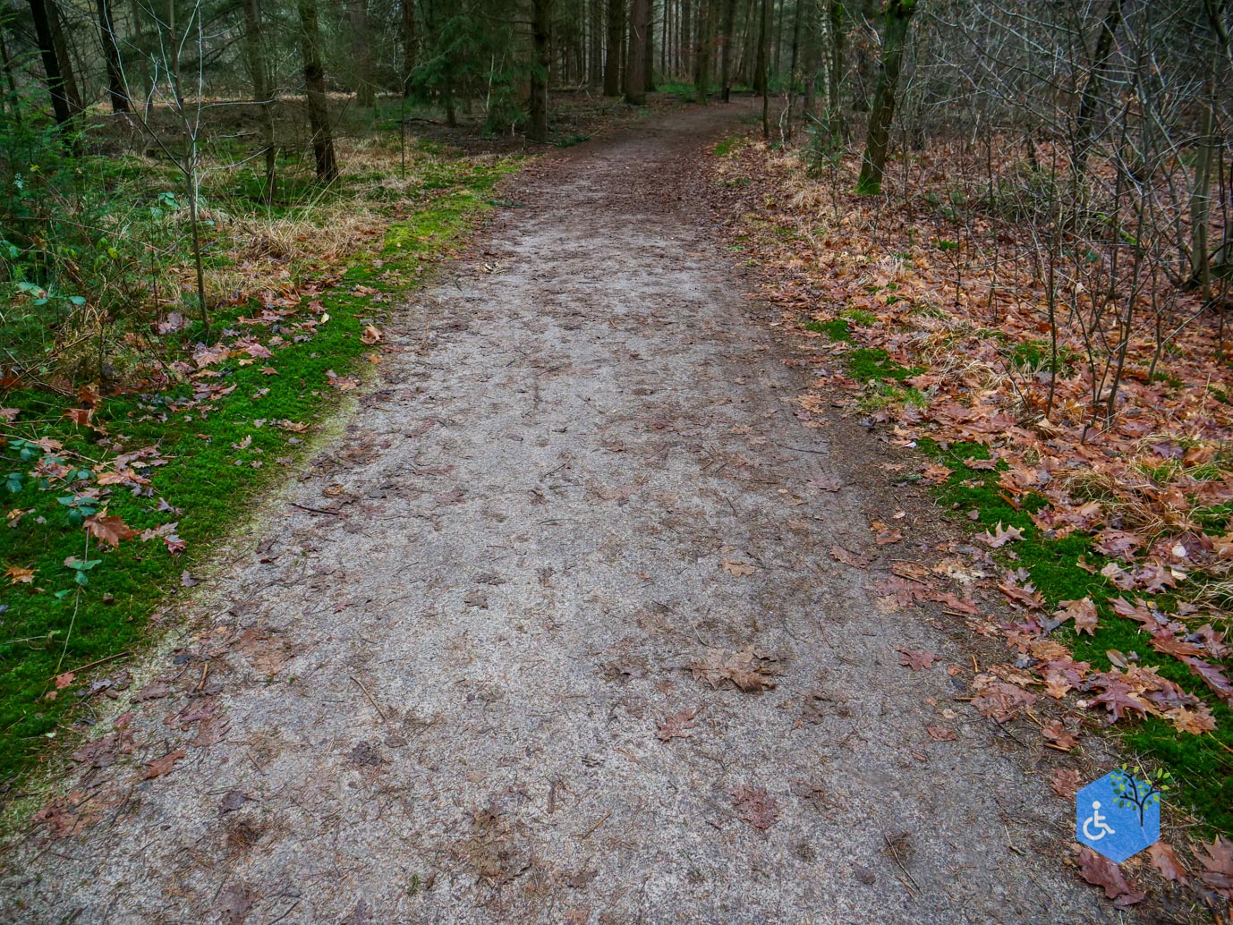 Tilburg_Rolstoelroute_Stadsbos_013_15-12-2023-10