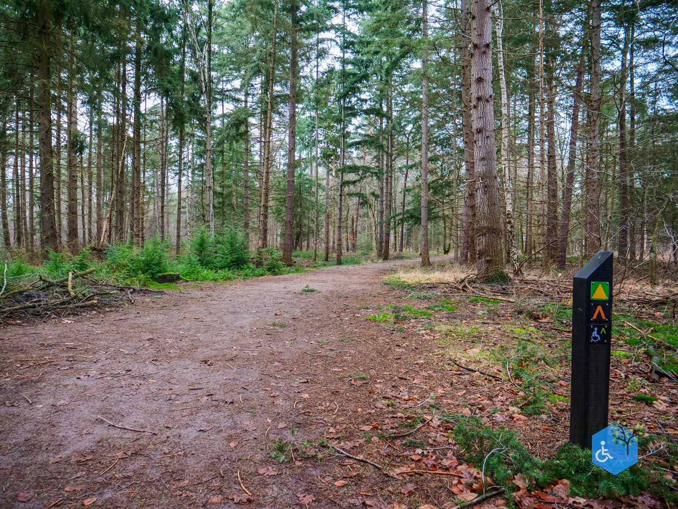 Tilburg_Rolstoelroute_Stadsbos_013_15-12-2023-11