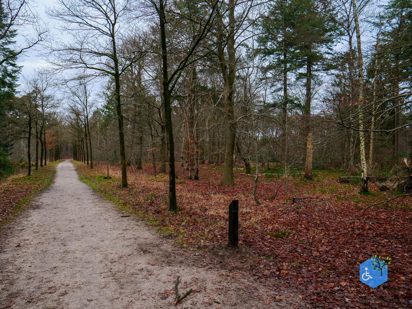 Tilburg_Rolstoelroute_Stadsbos_013_15-12-2023-12