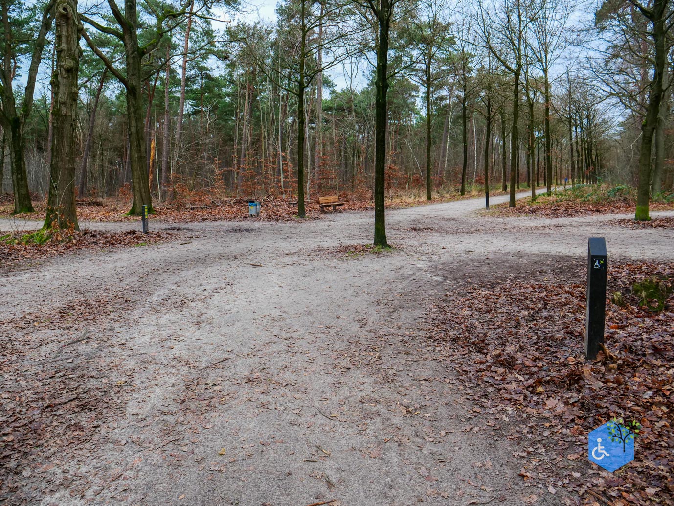 Tilburg_Rolstoelroute_Stadsbos_013_15-12-2023-13