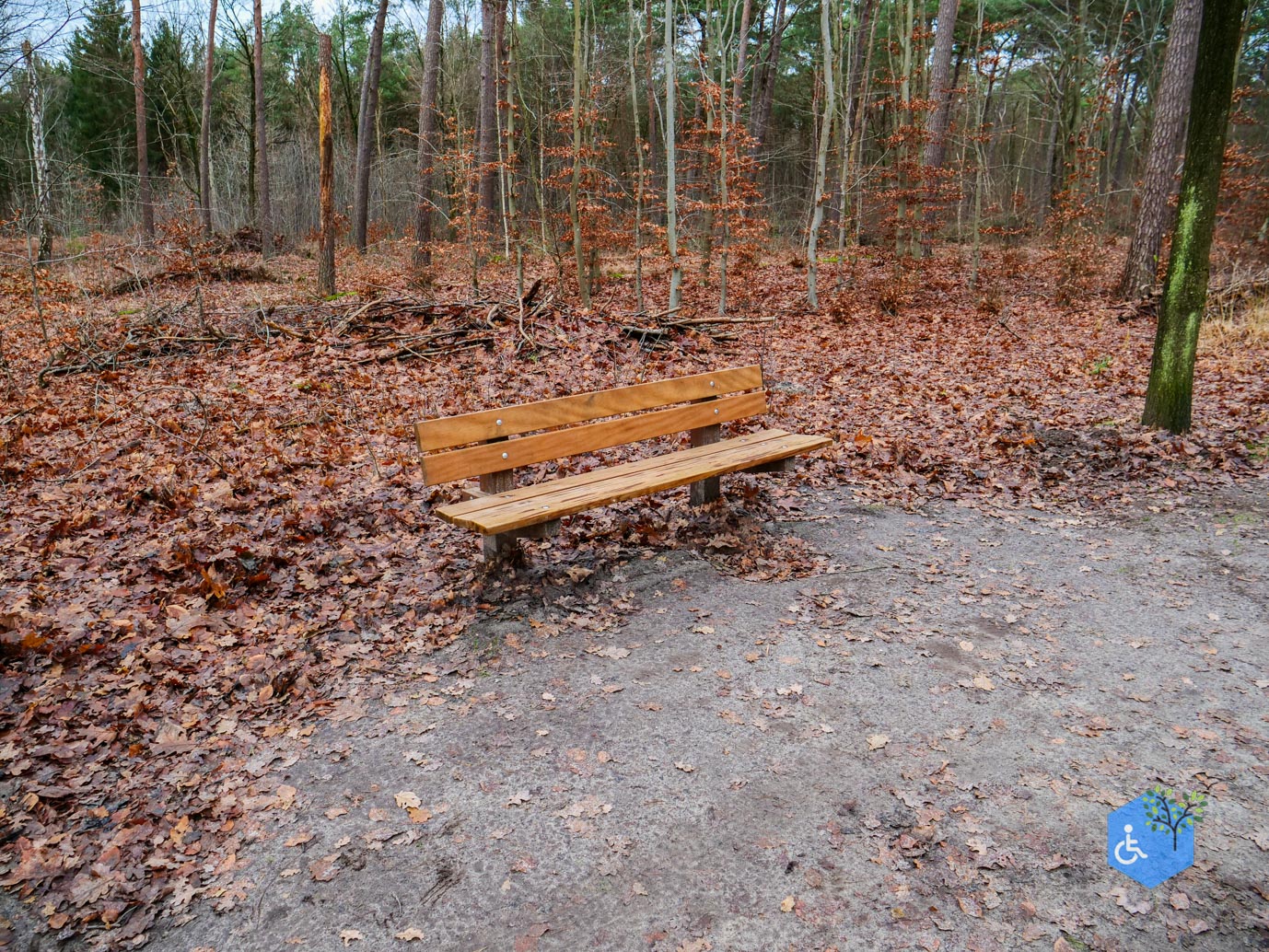 Tilburg_Rolstoelroute_Stadsbos_013_15-12-2023-14