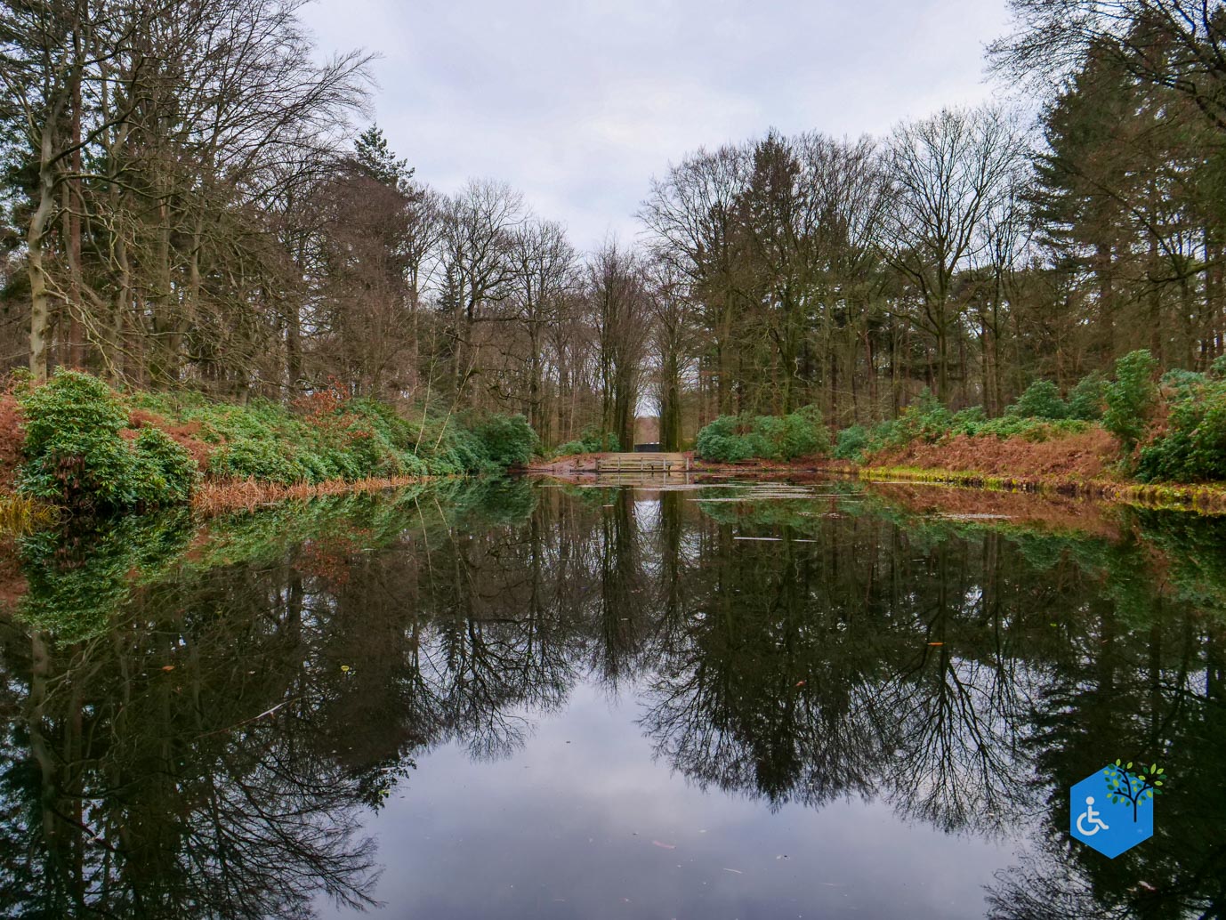 Tilburg_Rolstoelroute_Stadsbos_013_15-12-2023-17