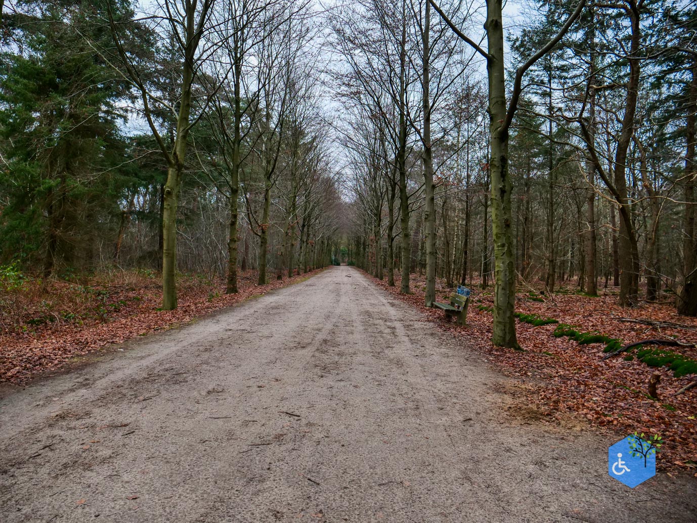 Tilburg_Rolstoelroute_Stadsbos_013_15-12-2023-22