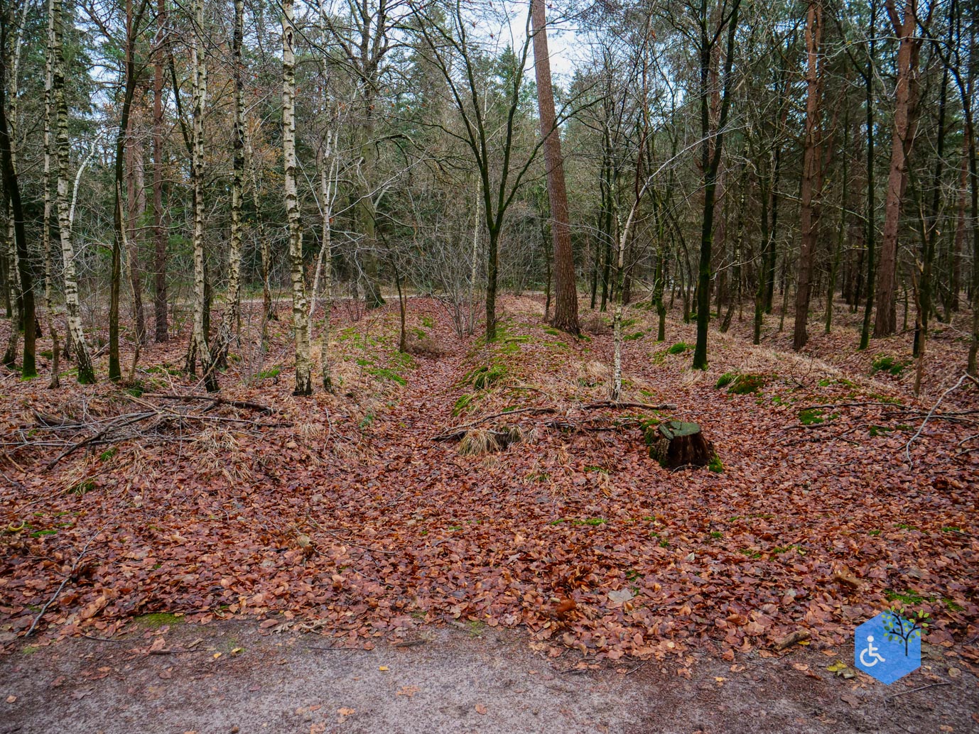 Tilburg_Rolstoelroute_Stadsbos_013_15-12-2023-23