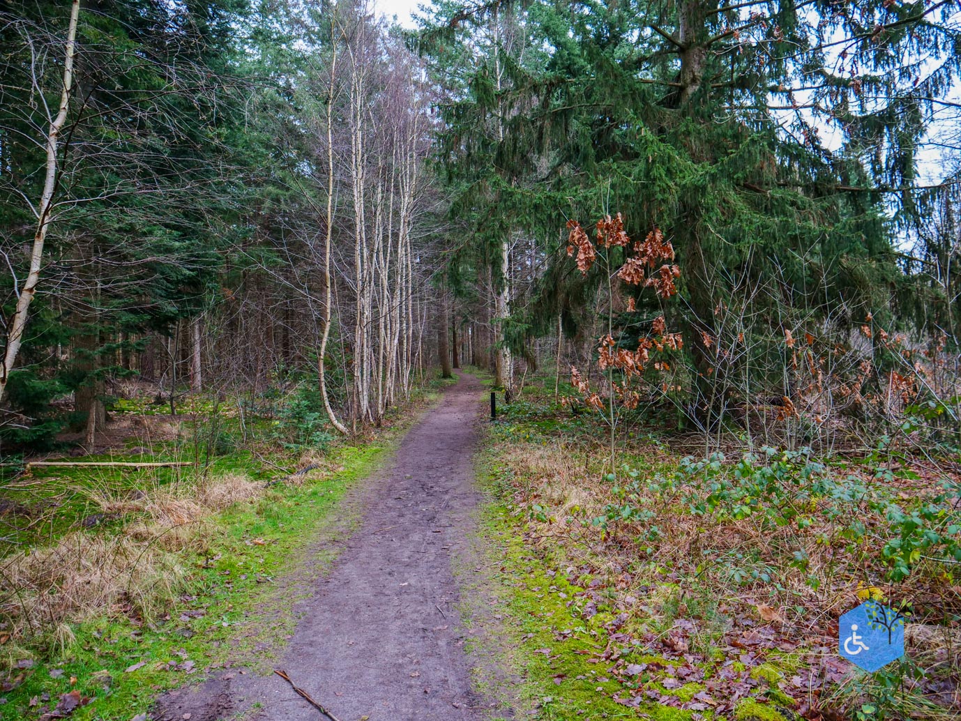 Tilburg_Rolstoelroute_Stadsbos_013_15-12-2023-24