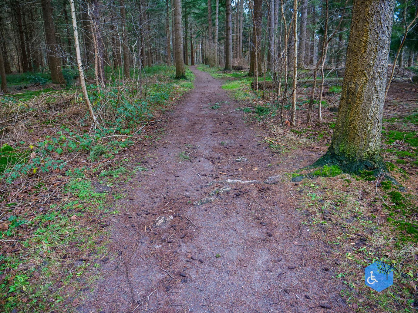 Tilburg_Rolstoelroute_Stadsbos_013_15-12-2023-25