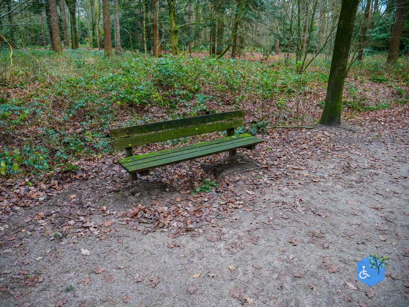 Tilburg_Rolstoelroute_Stadsbos_013_15-12-2023-26