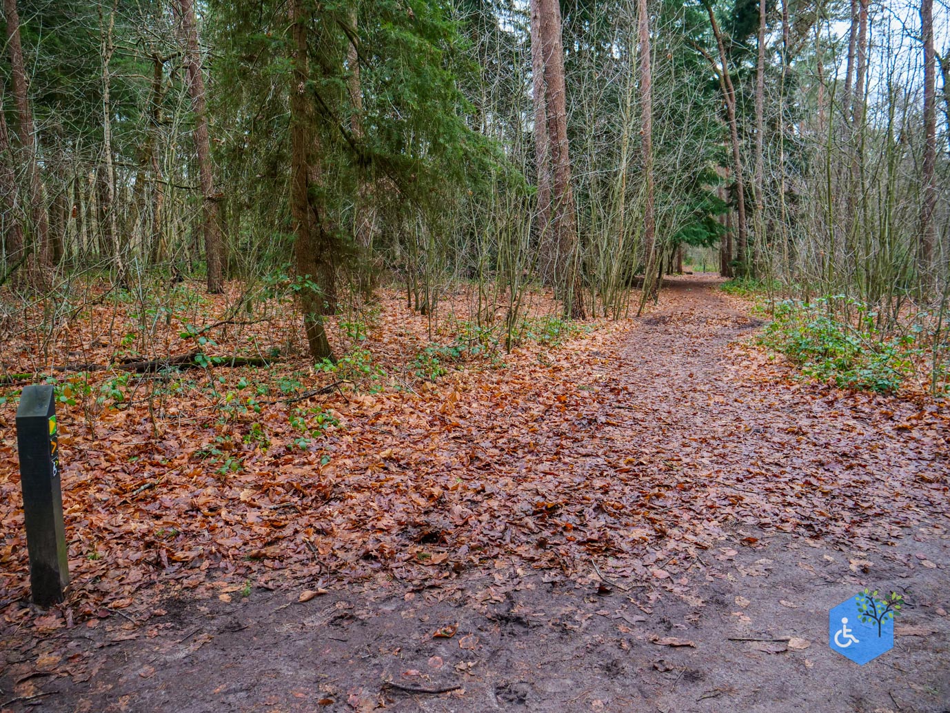 Tilburg_Rolstoelroute_Stadsbos_013_15-12-2023-31