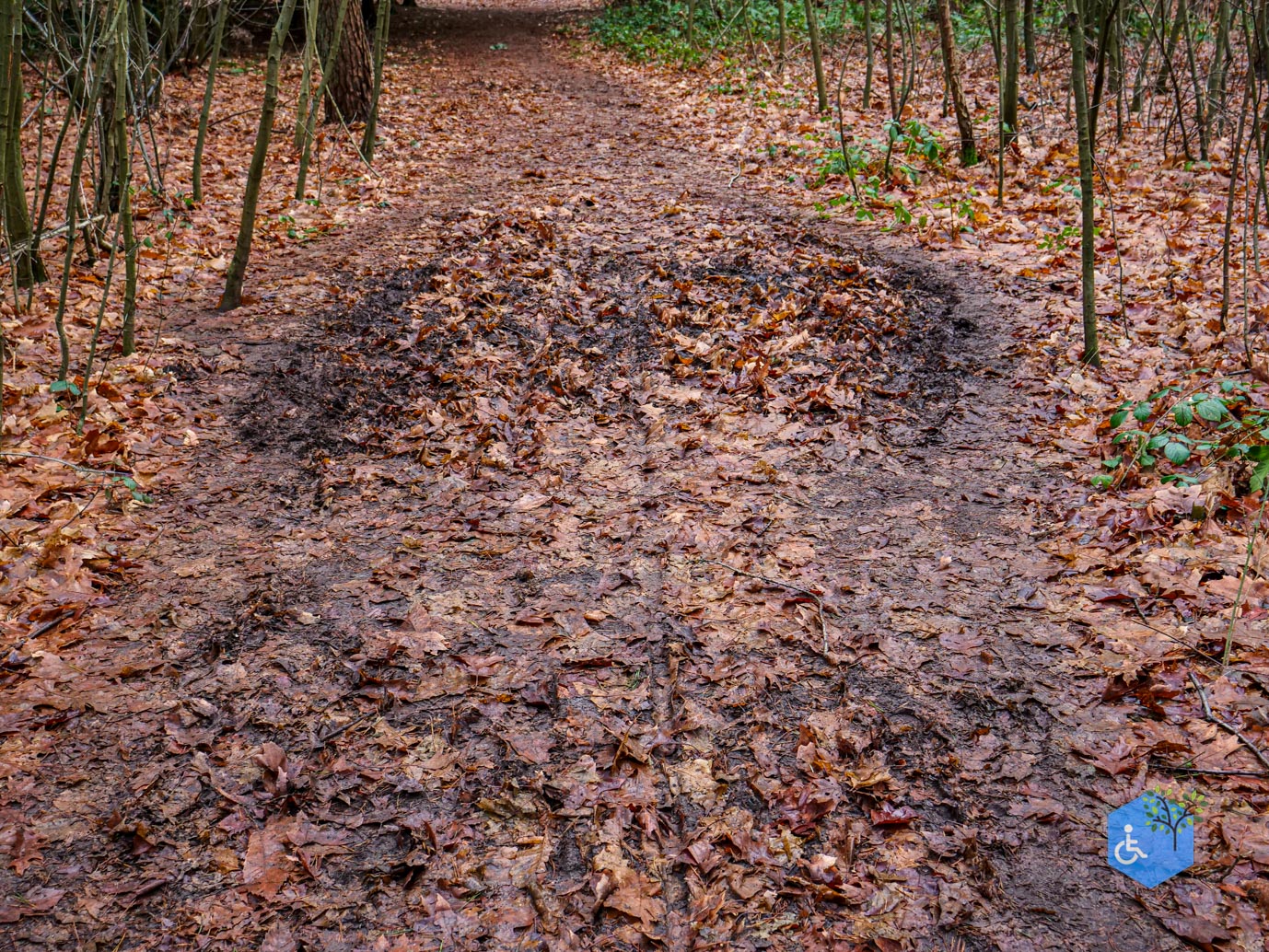 Tilburg_Rolstoelroute_Stadsbos_013_15-12-2023-32