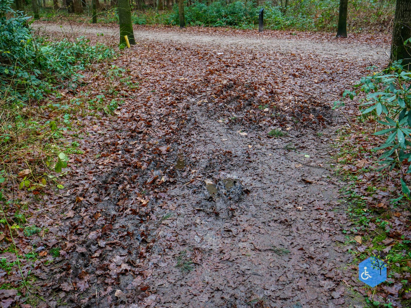 Tilburg_Rolstoelroute_Stadsbos_013_15-12-2023-33