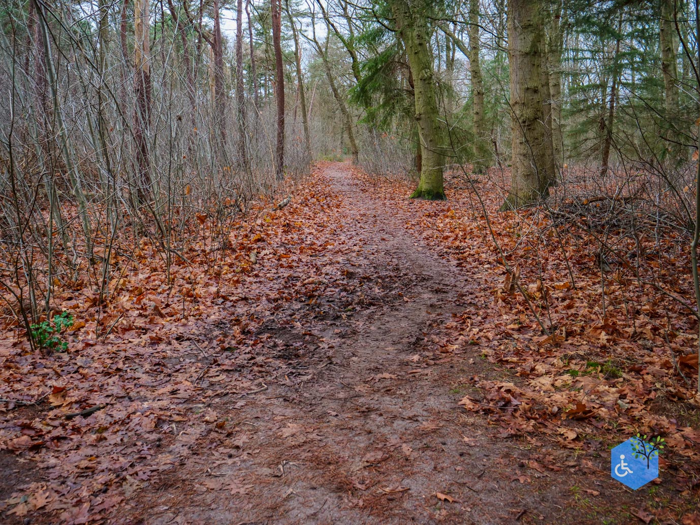 Tilburg_Rolstoelroute_Stadsbos_013_15-12-2023-34