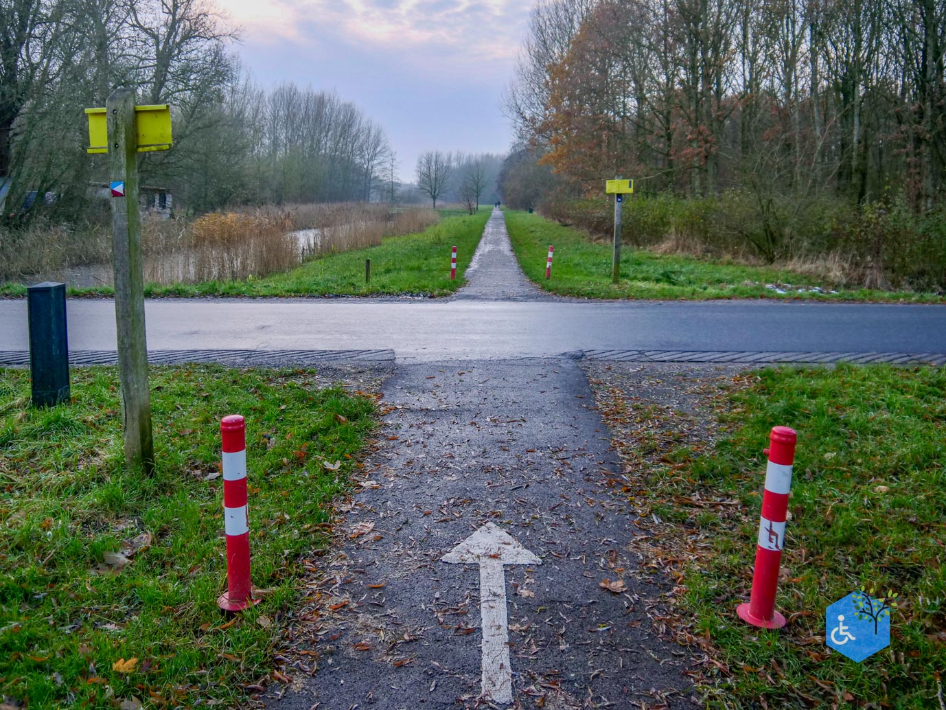 Zuidwolde_Natuurbeleefpad_Beijumerbos_03-12-2023-32