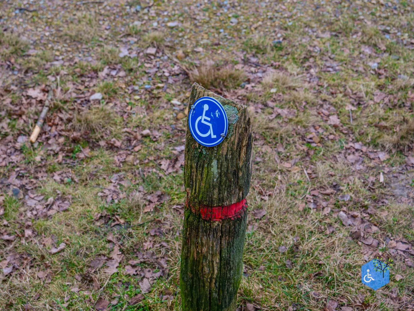 Bergen_Het_Eendenmeer_06-02-2024-03